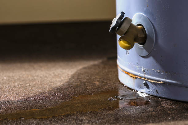 Carpet water damage restoration in Brooksville, FL