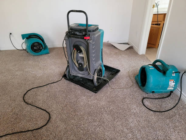 Best Residential water damage restoration  in Brooksville, FL