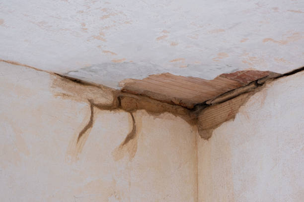Best Water damage restoration company  in Brooksville, FL
