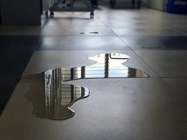 Best Water damage contractors near me  in Brooksville, FL