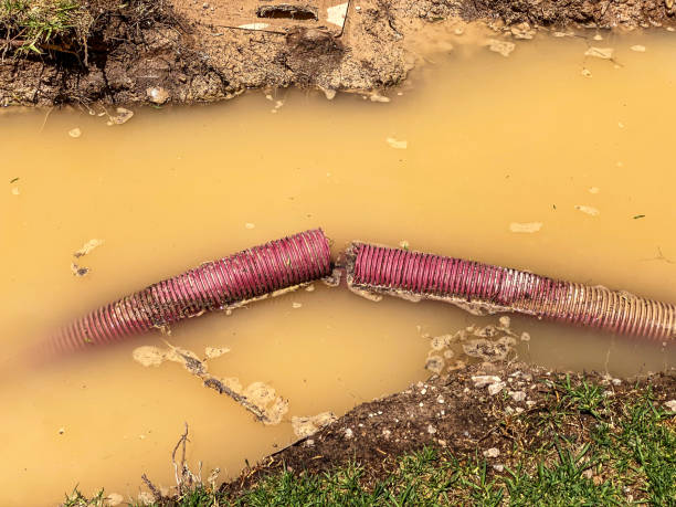 Best Commercial water damage restoration  in Brooksville, FL