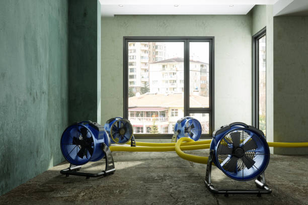 Best Fire Damage Restoration  in Brooksville, FL