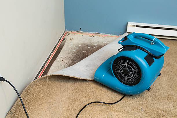 Best Ceiling water damage repair  in Brooksville, FL